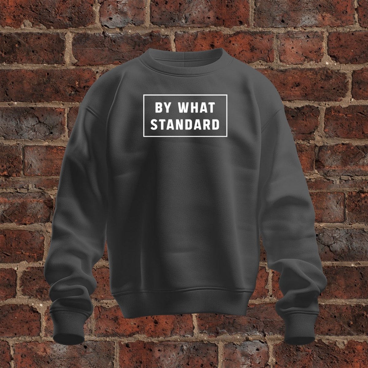 crewneck sweatshirt - By What Standard - Sweatshirt - The Reformed Sage - #reformed# - #reformed_gifts# - #christian_gifts#